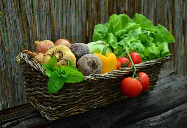 vegetables, basket, vegetable basket, harvest, produce, organic, fresh, fresh produce, fresh vegetables, assorted, food, nature, garden, salad, healthy